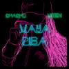 Chacho - Vaya Piba (feat. Vizen) - Single